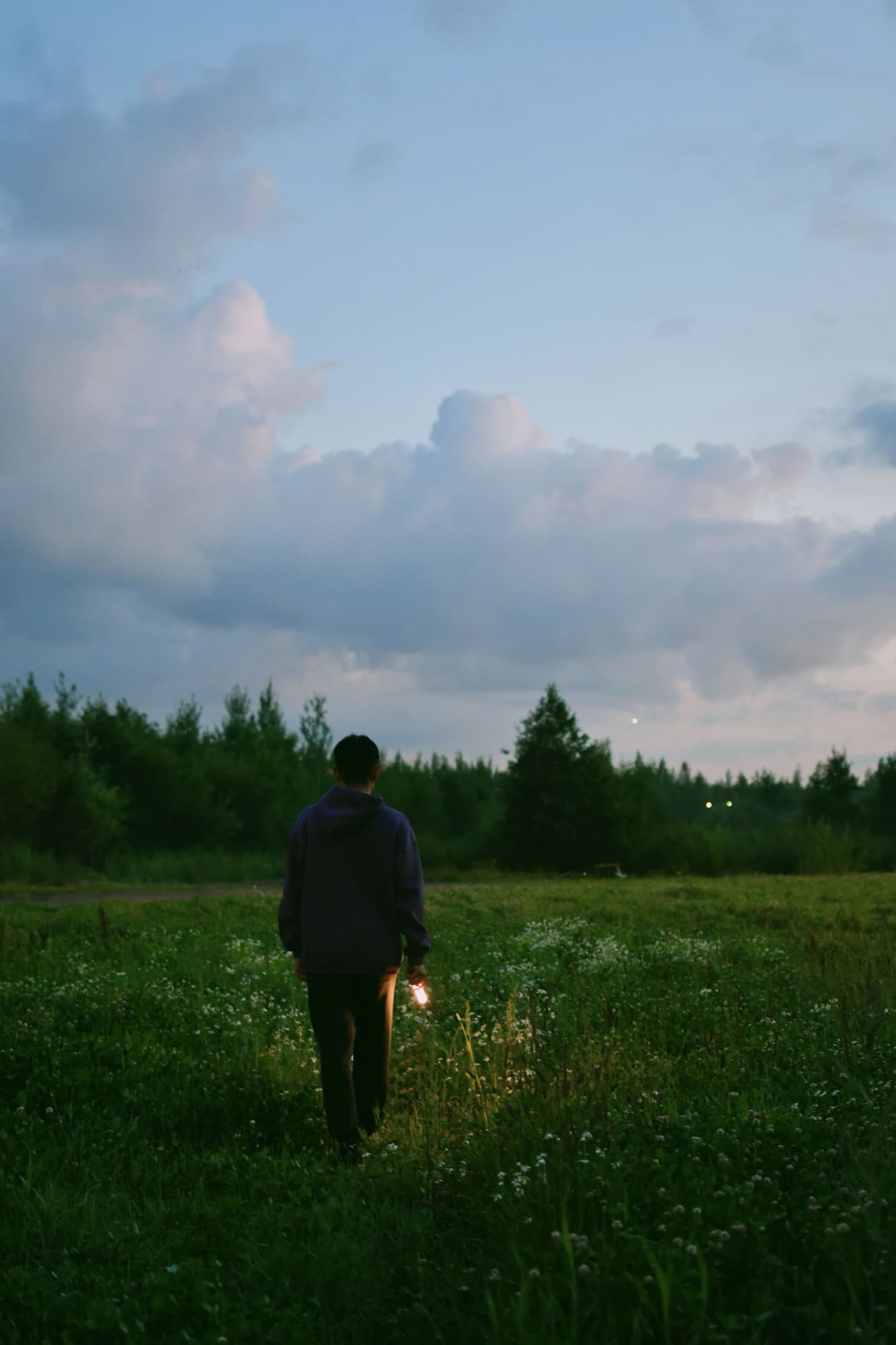 A person walking through a meadow at twilight, carrying a glowing lantern